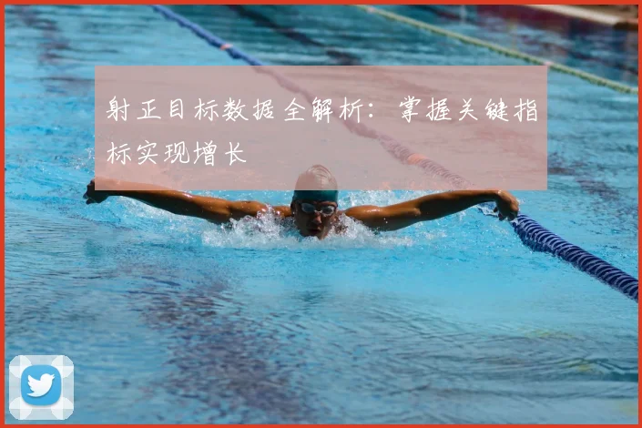射正目标数据全解析:掌握关键指标实现增长